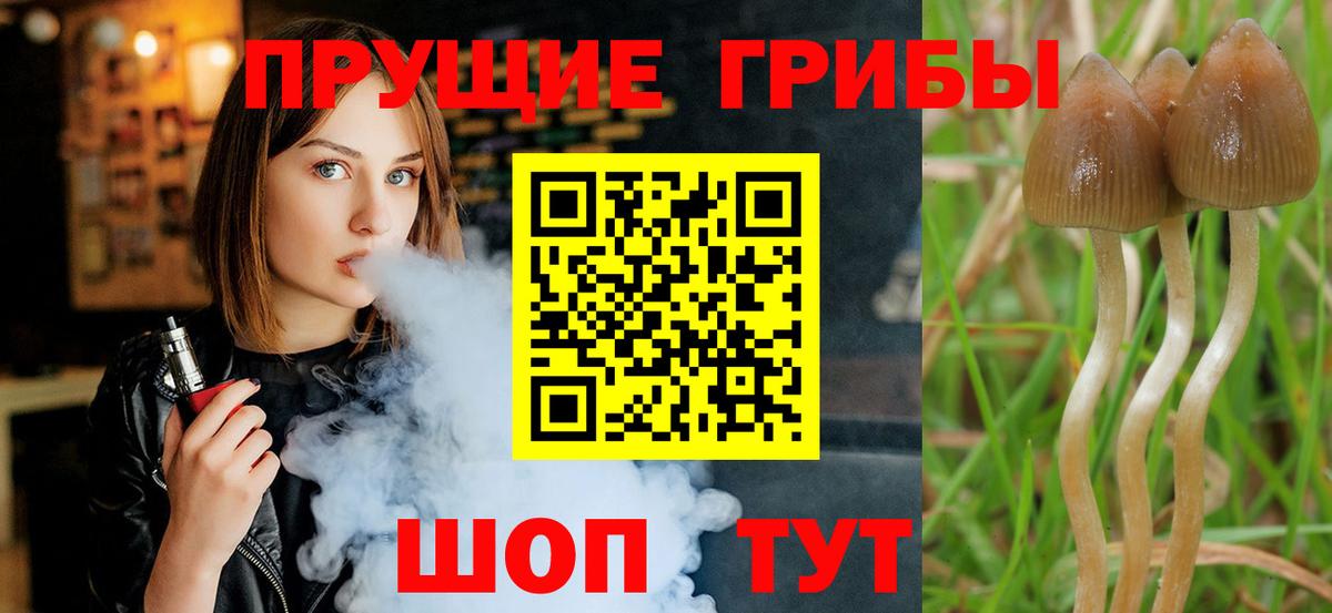 Галлюциногенные грибы Cubensis Домодедово