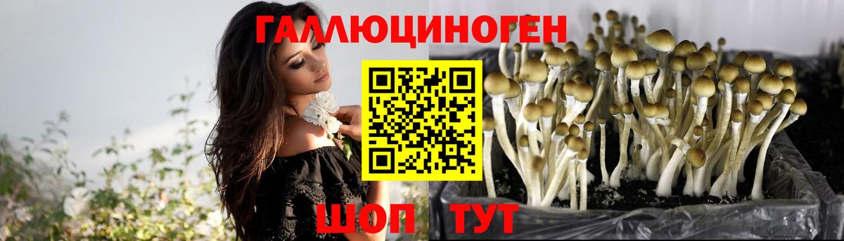Домодедово  Псилоцибиновые грибы MAGIC MUSHROOMS  Вход с VPN 